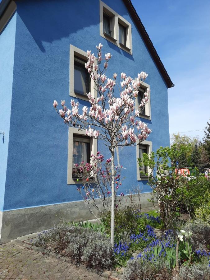 Kunstoase Am Blauen Haus Dresden