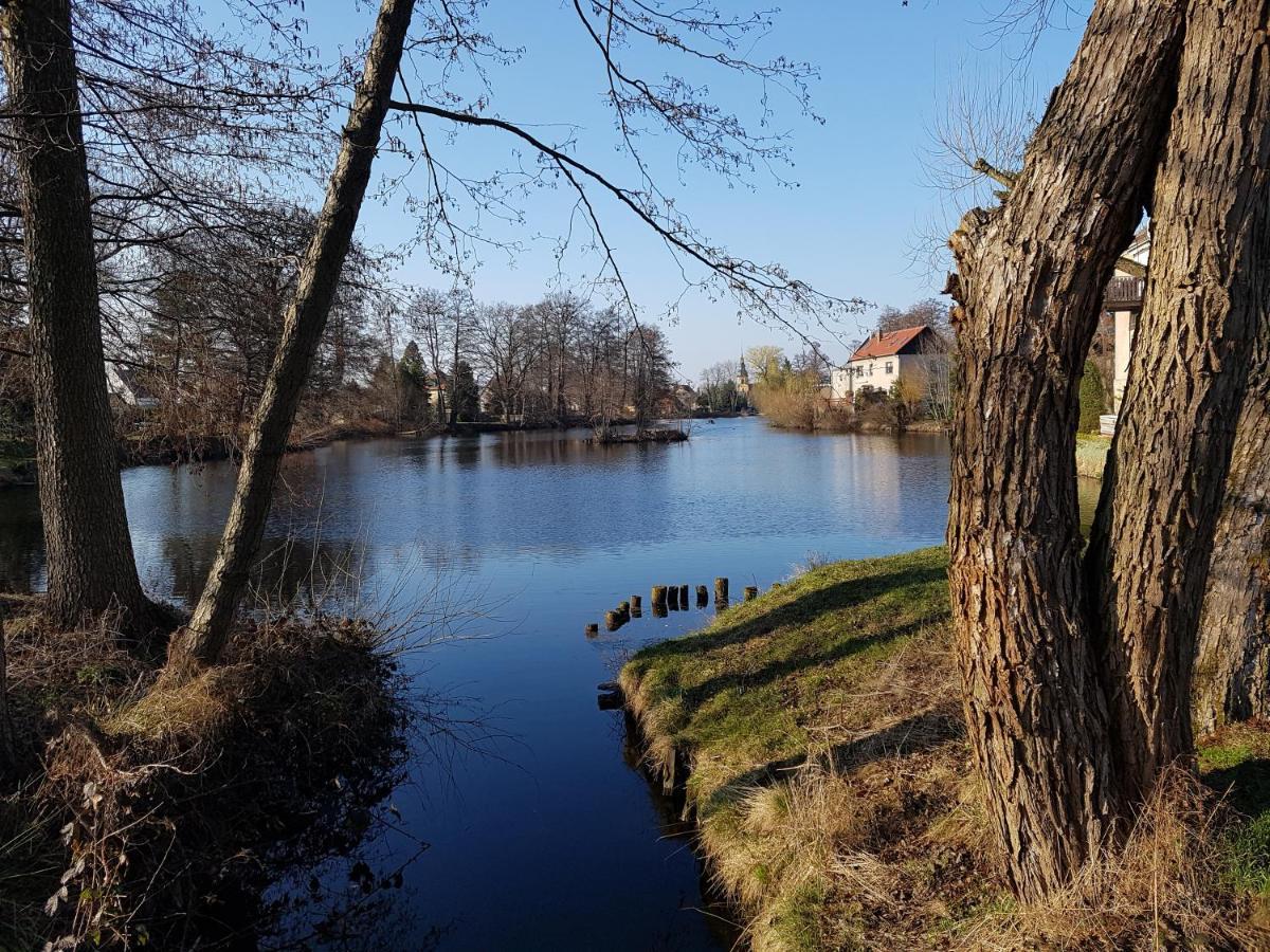 Zum Eulennest * Dresden