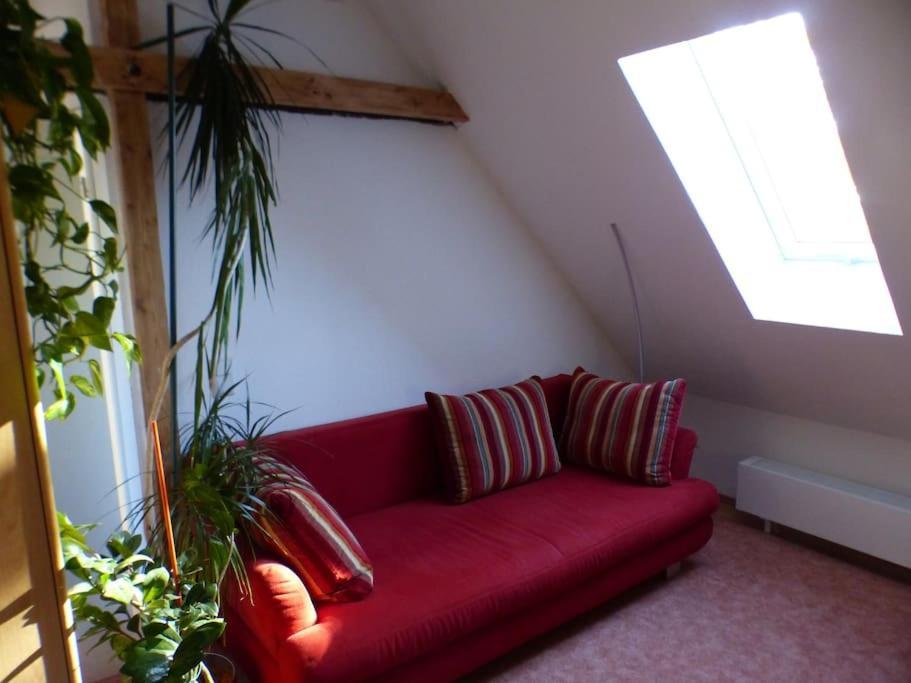 Ferienhaus Ehemaliges Torhaus Am Rande Der Dresdner Neustadt