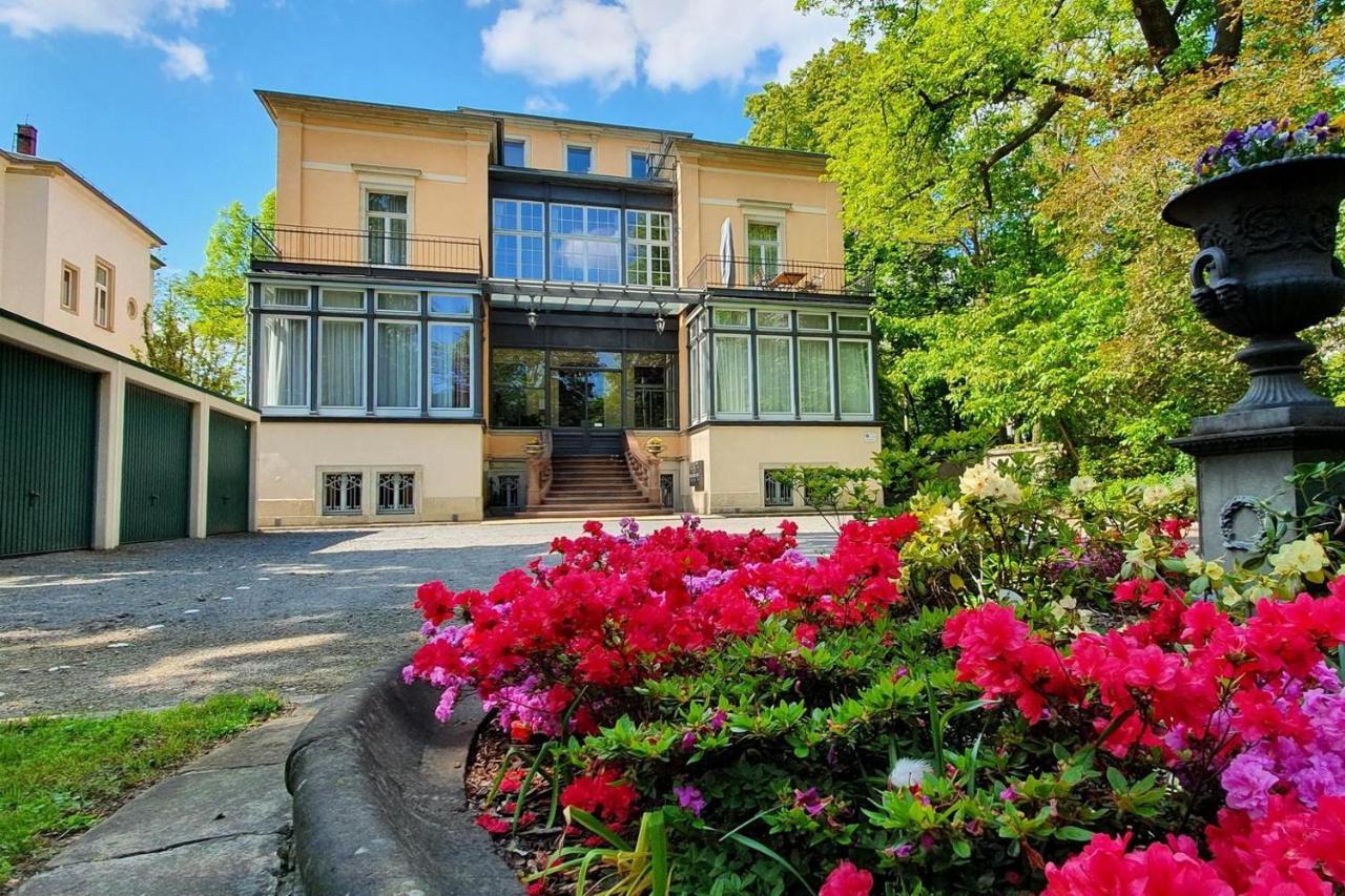 Apartment Haniel Sophie Dresden