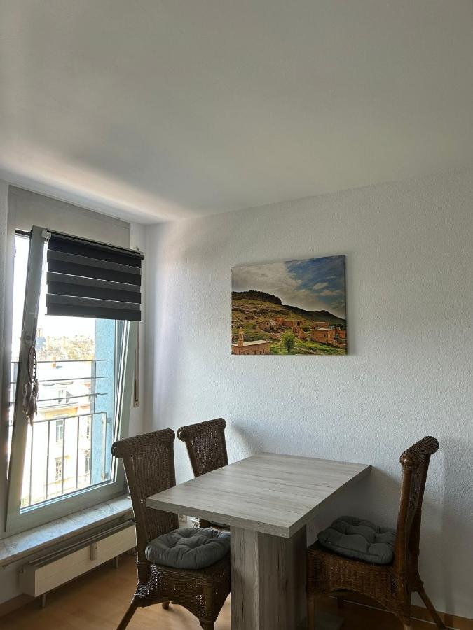 Gemutliche In Neustadt/alaunpark Appartement *