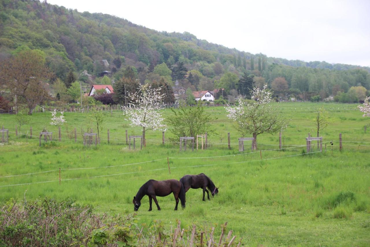Stiegenstuebchen Am Weinberg Apartment *
