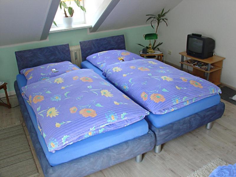 Gasthuis Hotel-pension Koenigswald 3*
