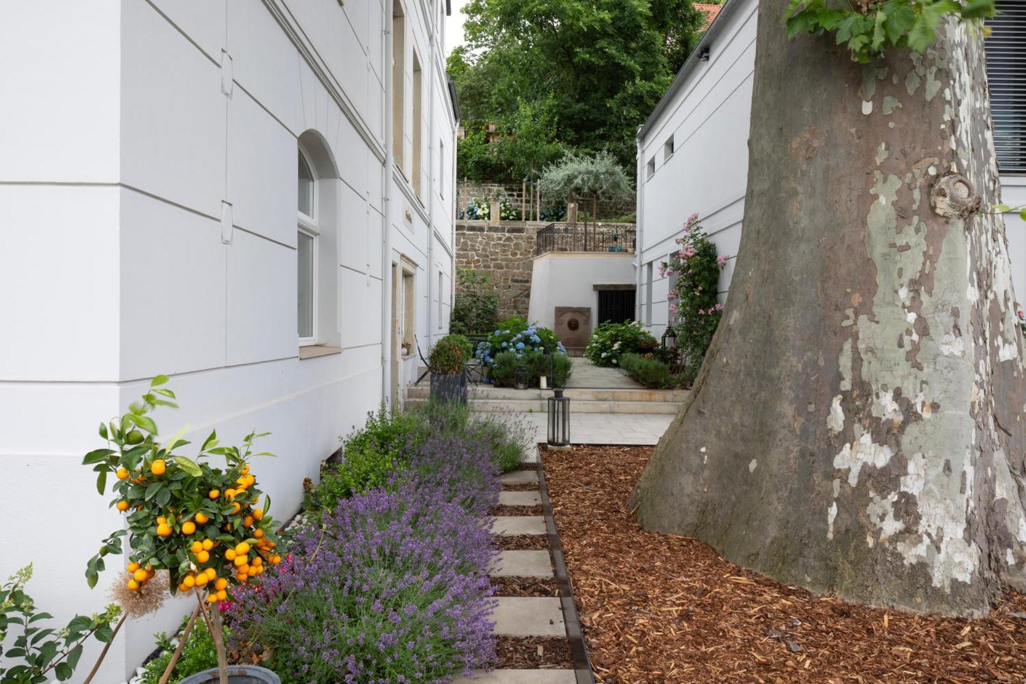 Villa Atelierhaus In Loschwitz *