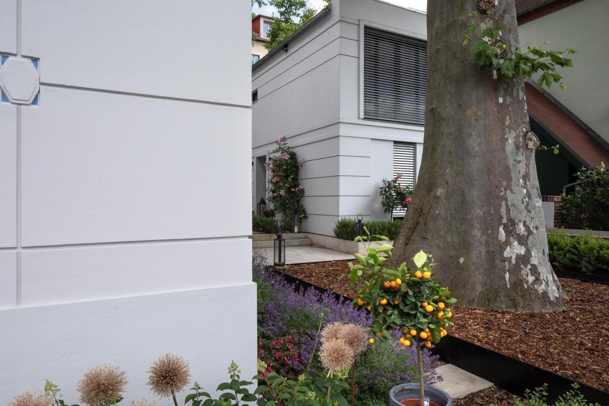 Villa Atelierhaus In Loschwitz