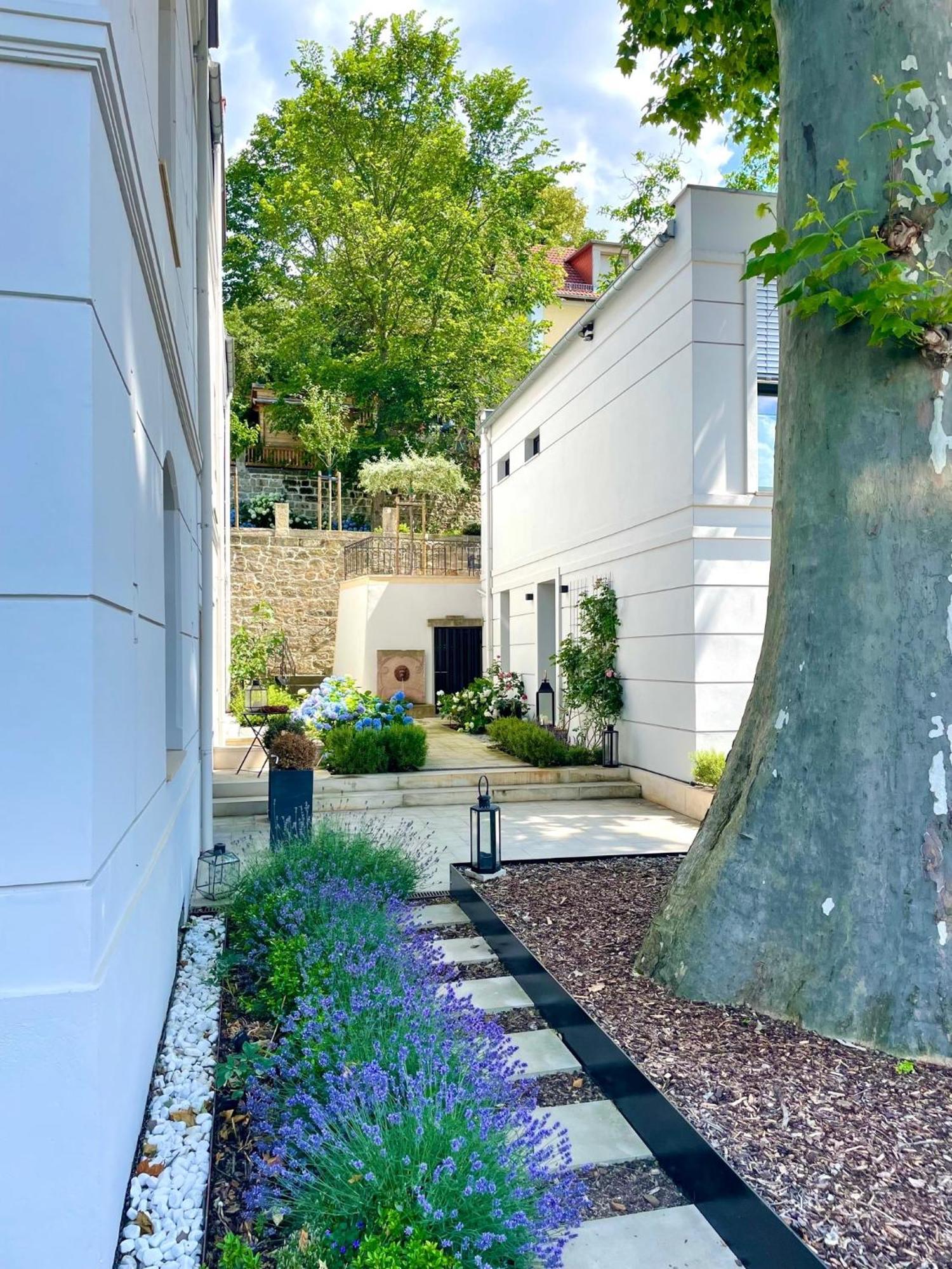 Atelierhaus In Loschwitz Villa *