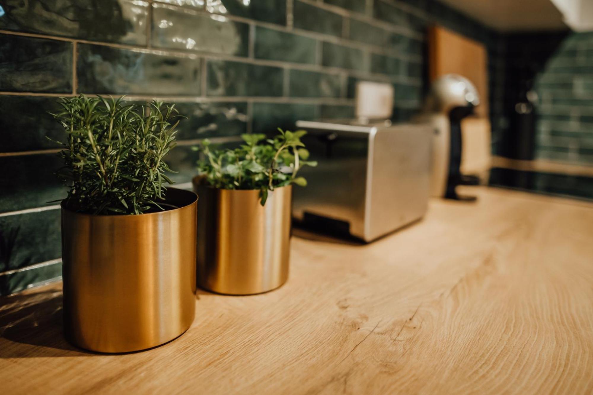Appartement Bestlage Im Hechtviertel & Frisch Saniert *