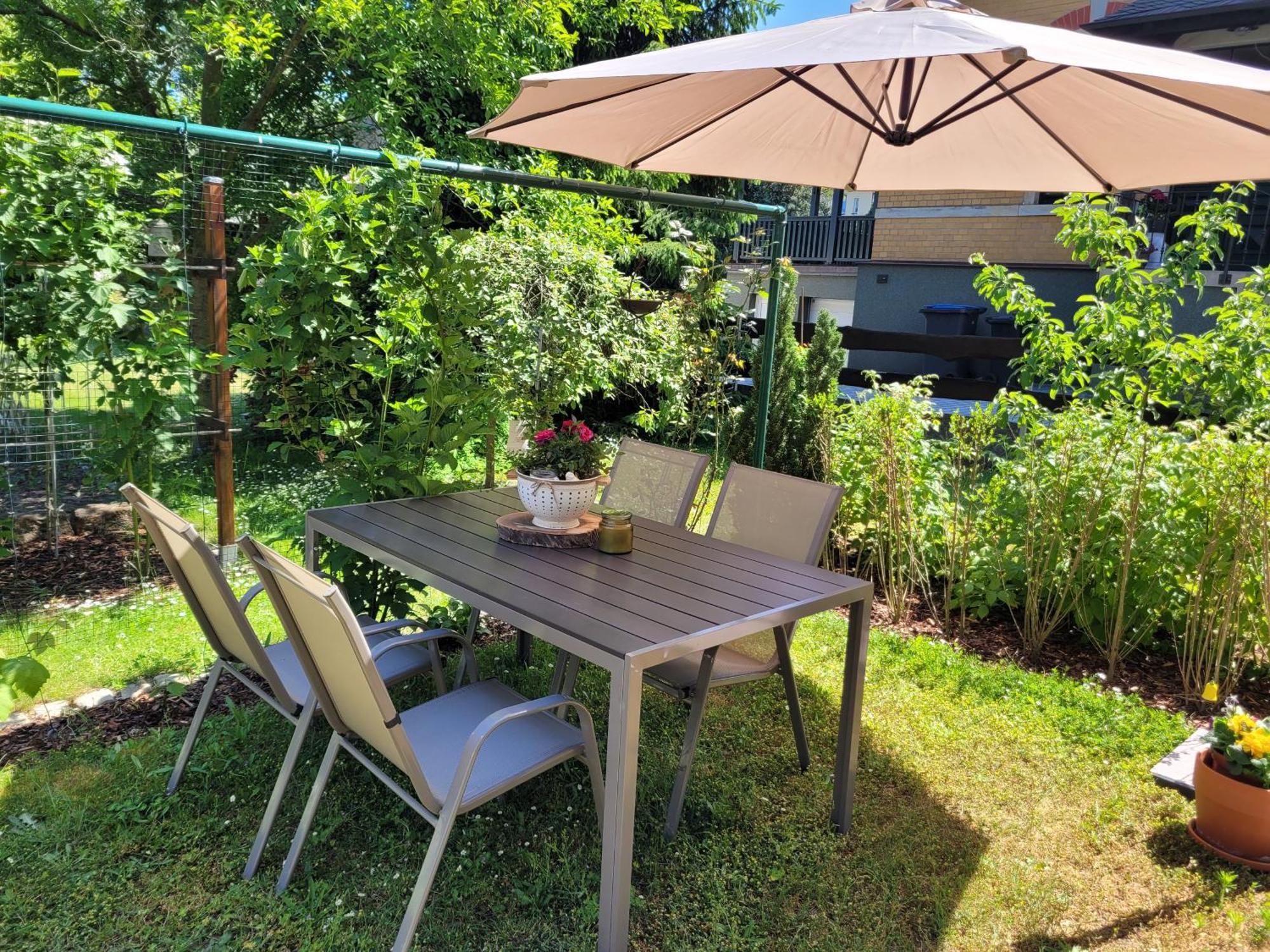 Zum Eulennest Apartment *