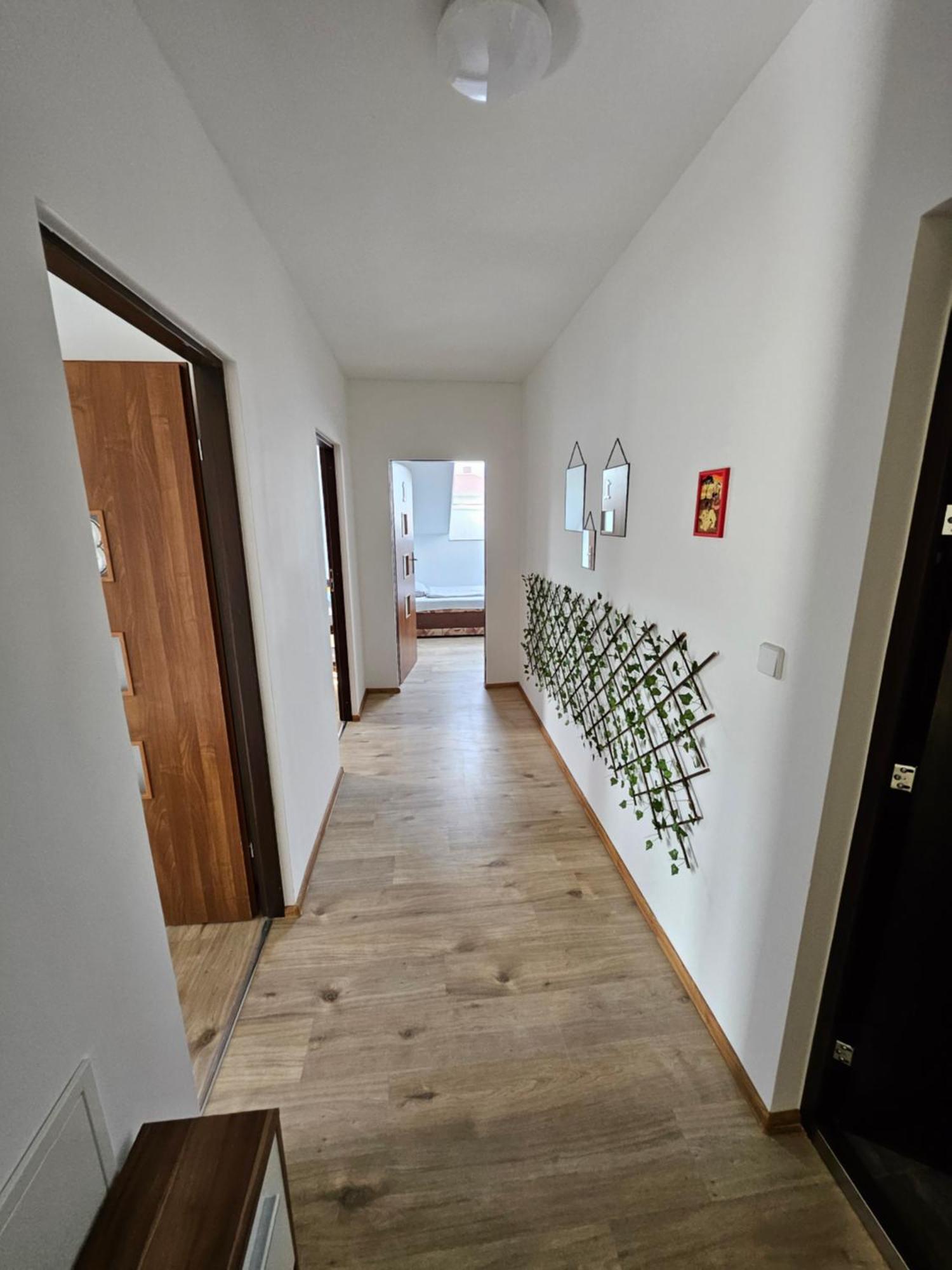 Wohngemeinschaft Apartment