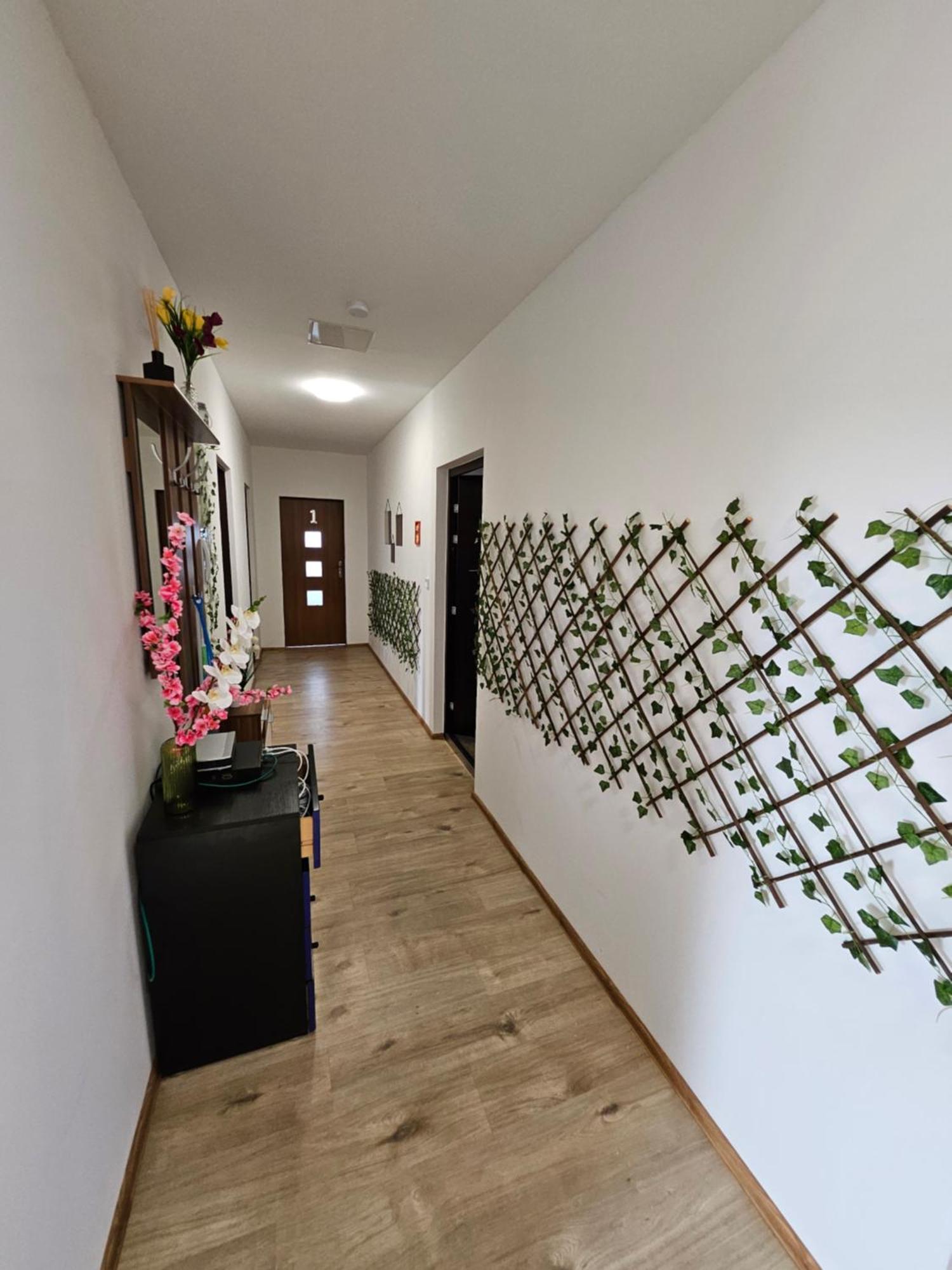 Wohngemeinschaft Apartment Dresden