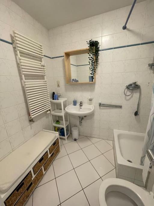 Studio-apartment Mit Balkon * Dresden