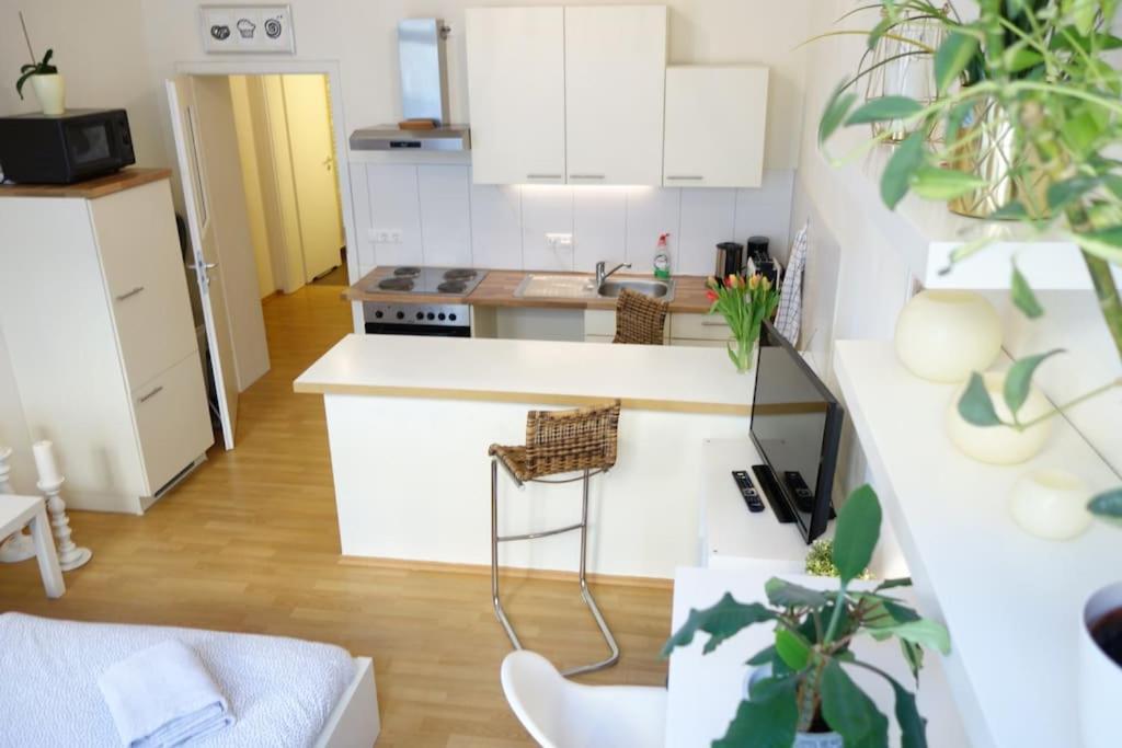 Cosy Nearby Station Neustadt In It-district Apartment Dresden