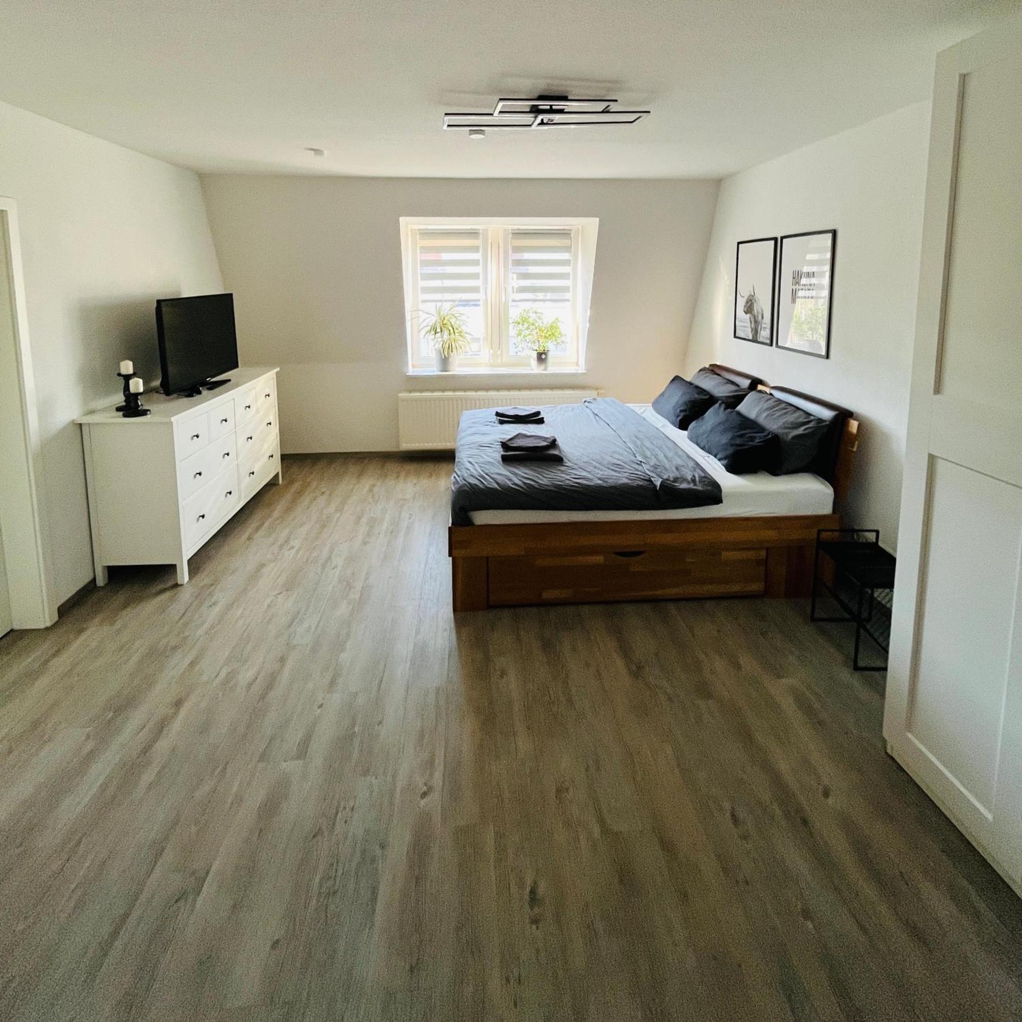 Modernes Cityapartment Naehe Schloss Pillnitz Apartment