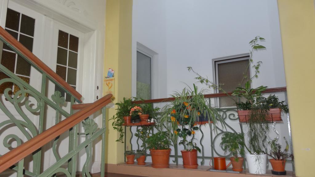 Private Gastezimmer Bei Ila Zimmerling Homestay Dresden