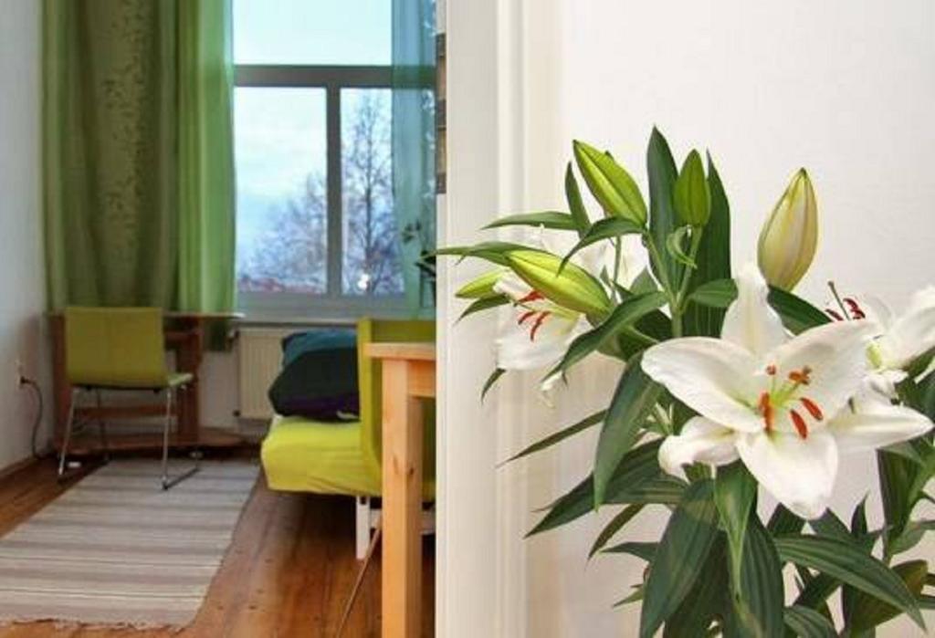 Private Gastezimmer Bei Ila Zimmerling * Dresden