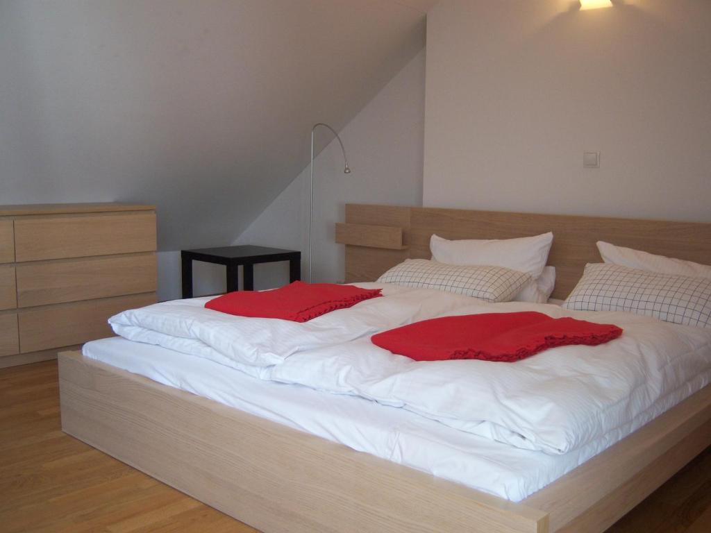 Historisches Bürgerhaus -kulturstiftung- Apartment Dresden