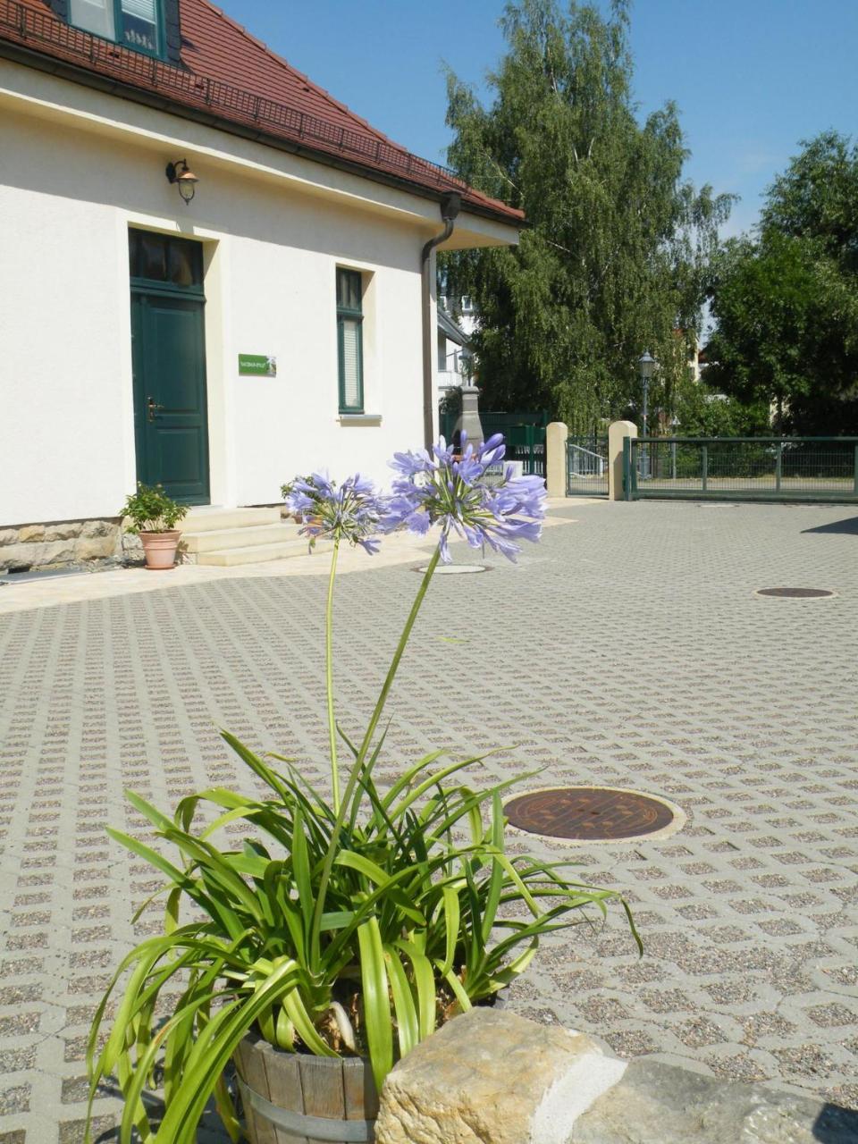 Ferienwohnung Kaitzbach Idylle Dresden