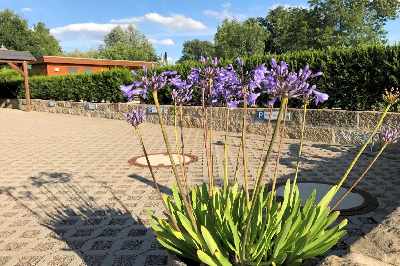 Ferienwohnung Kaitzbach Idylle Dresden