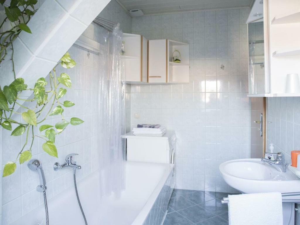 Apartment Zentrale Ferienwohnung In Gruna Im Dg *