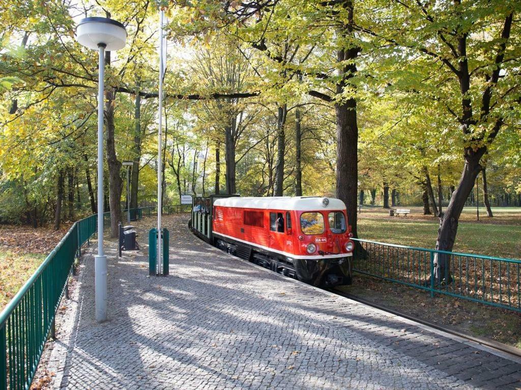 Zentrale Ferienwohnung In Gruna Im Dg Apartment Dresden
