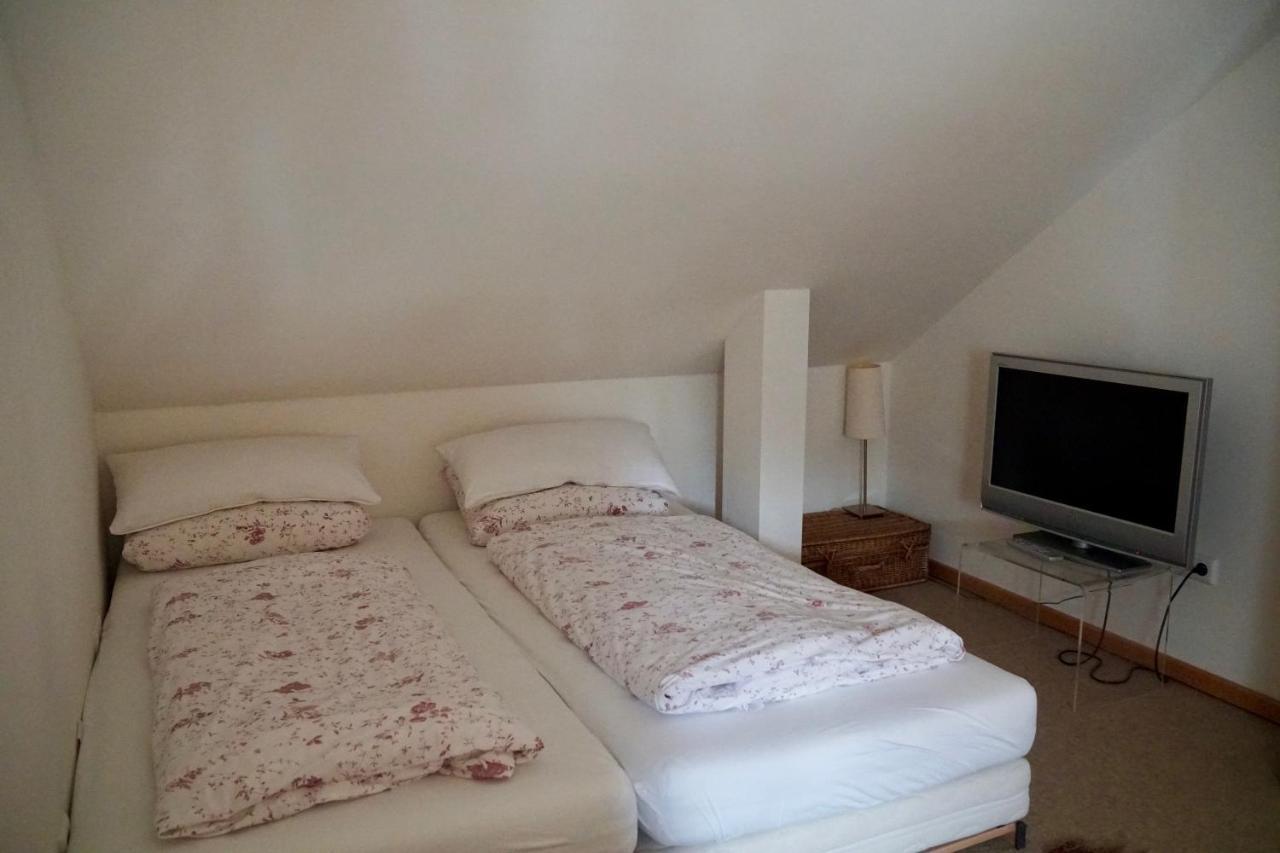 K1 Appartement Dresden