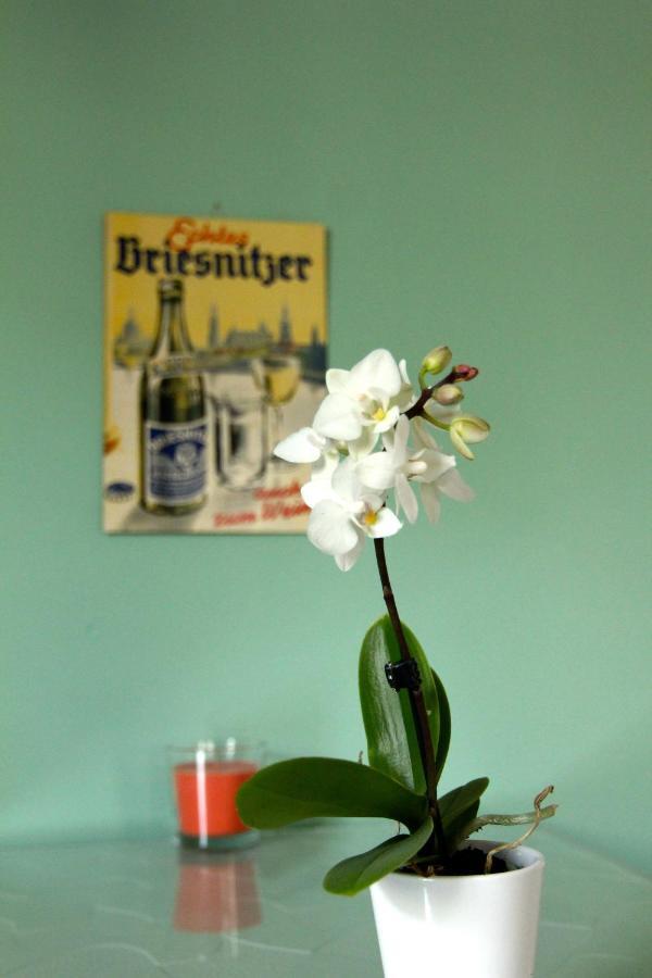 / Flat / Im Herzen Von Dresden