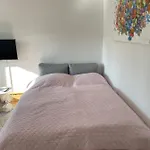 Ferienwohnung Dresden Leubnitz