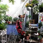 Elbe Garden Paradise
