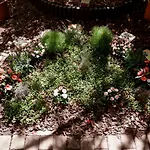 Elbe Garden Paradise