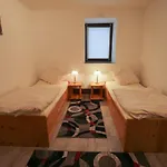 Grosse Wohnung In Dresden