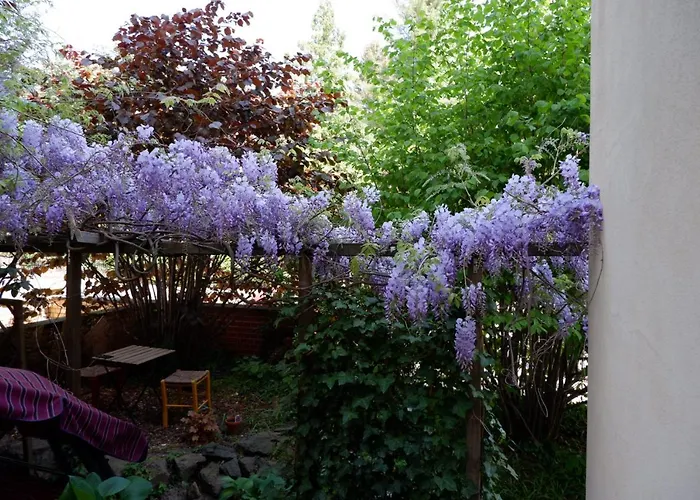 Elbe Garden Paradise