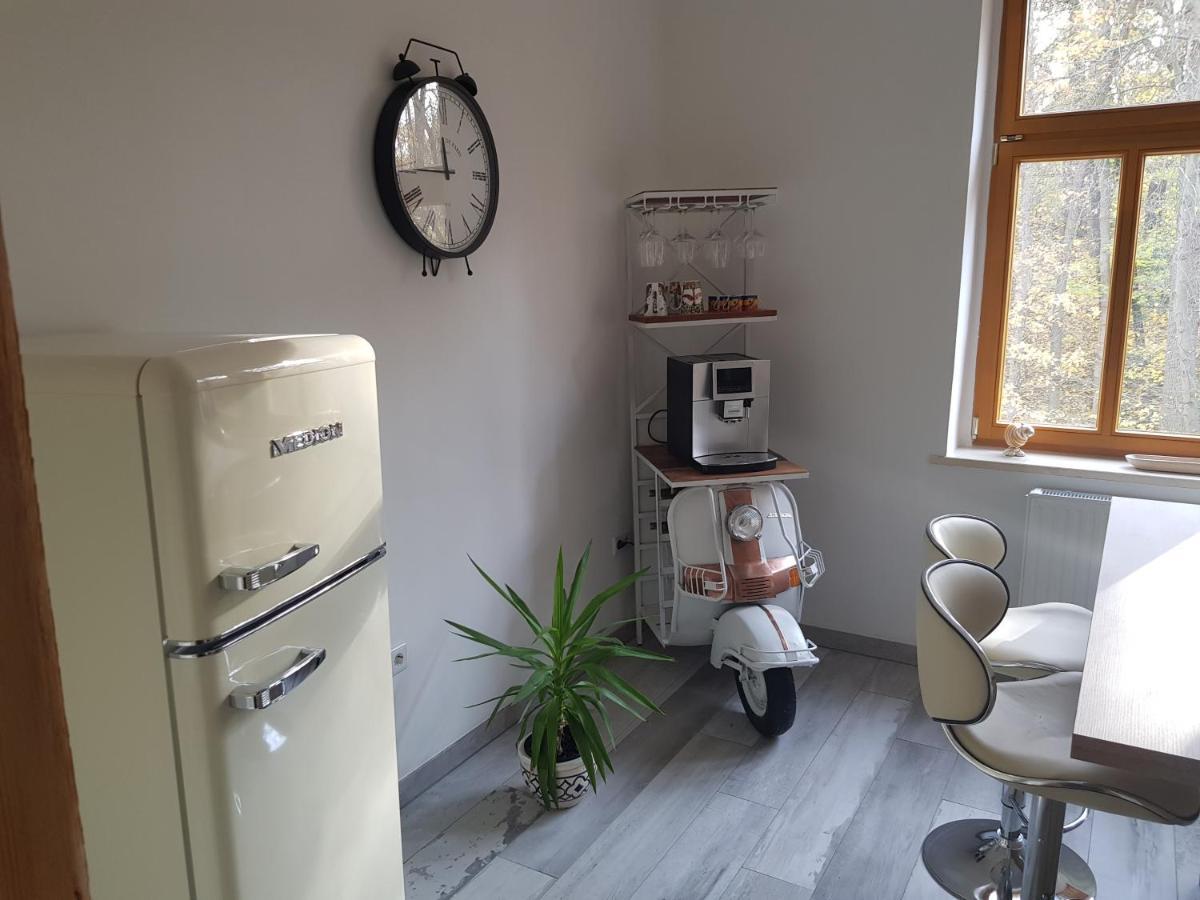 Appartement Domizil Adler Dresden
