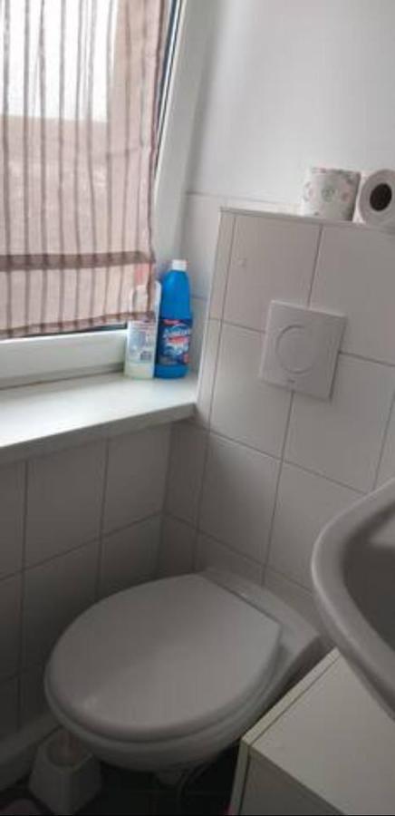 Grune Und Ruhige Lage / And Quiet Area Privatunterkunft Dresden