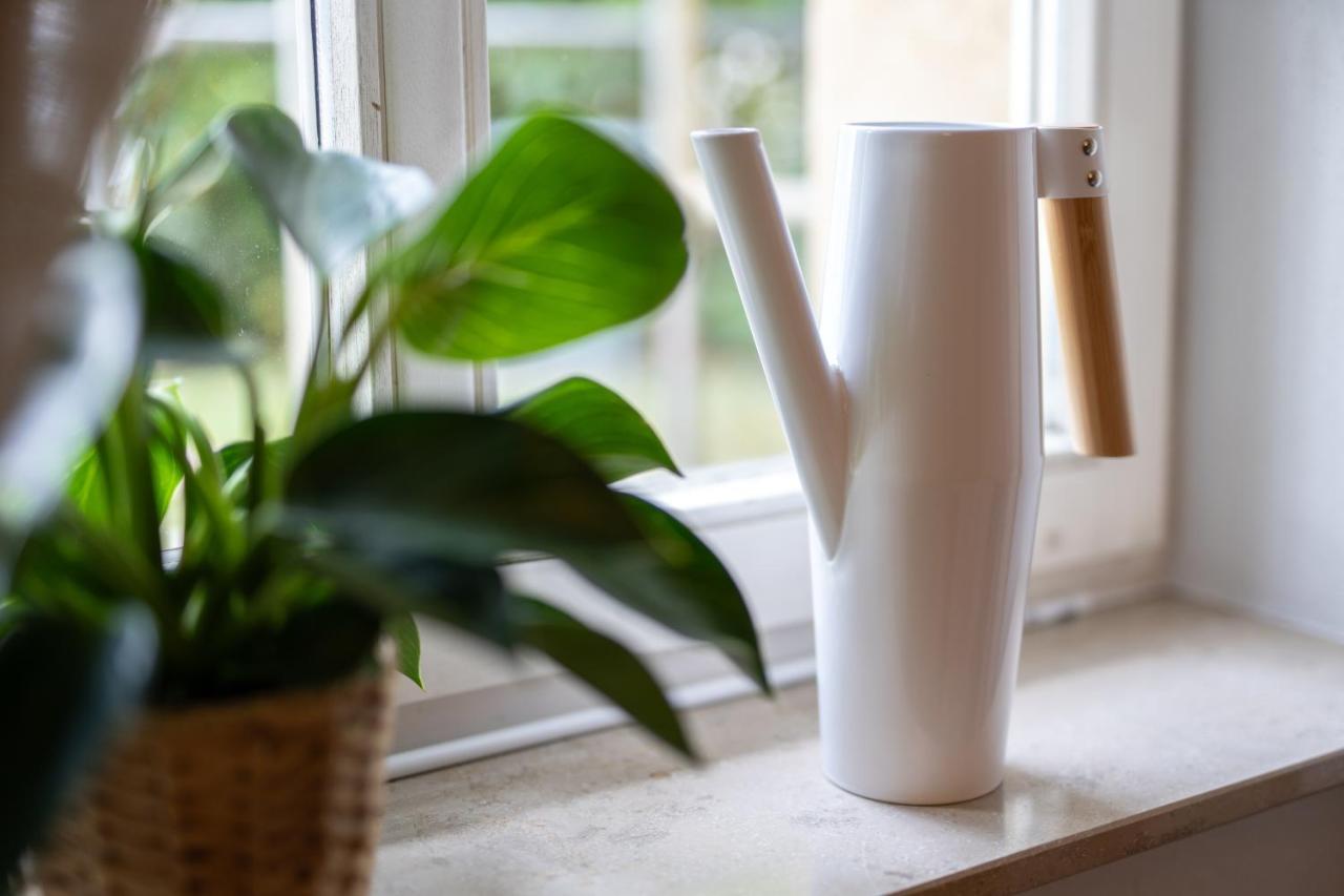 Appartement Toni Charming Im Idyllischem Villenviertel Mit Netflix *