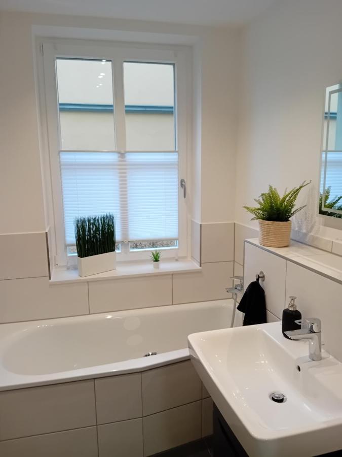 Appartement In Sehr Guter Lage Dresden