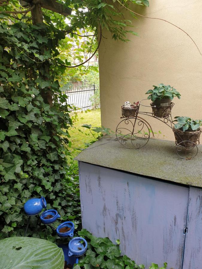 Apartment Elbe Garden Paradise