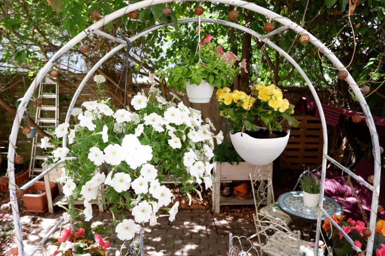 Elbe Garden Paradise *