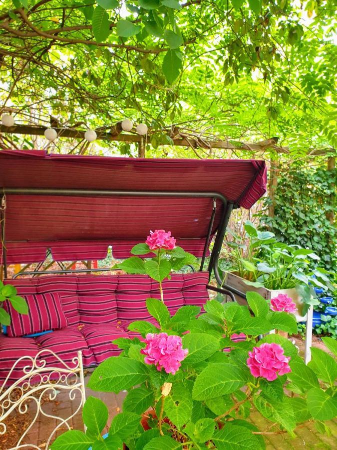 Elbe Garden Paradise Apartment *