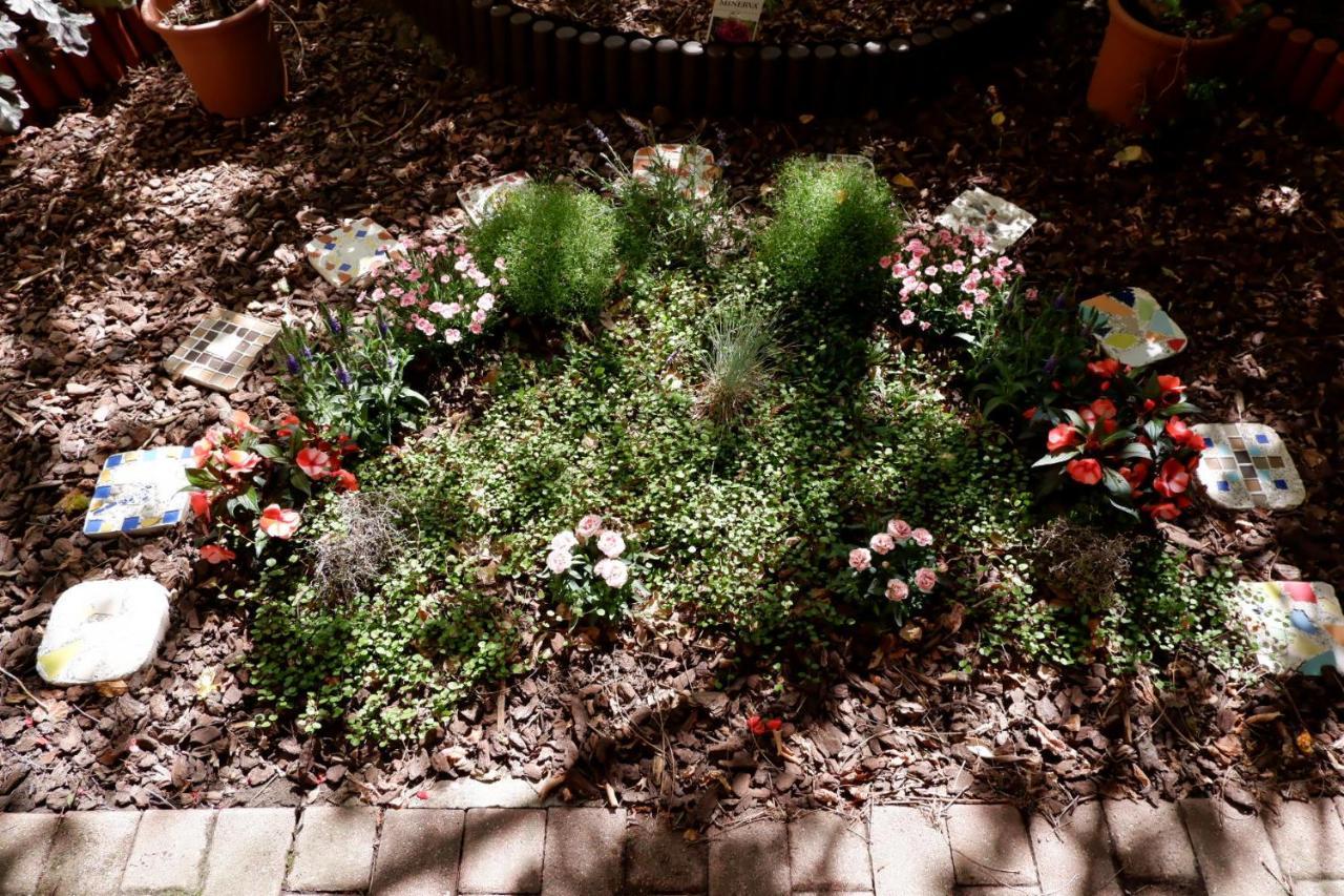 Elbe Garden Paradise Apartment