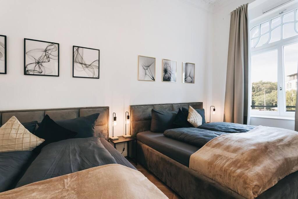 Tip! Design-apartment In Toplage 75qm In Szeneviertel Dresden
