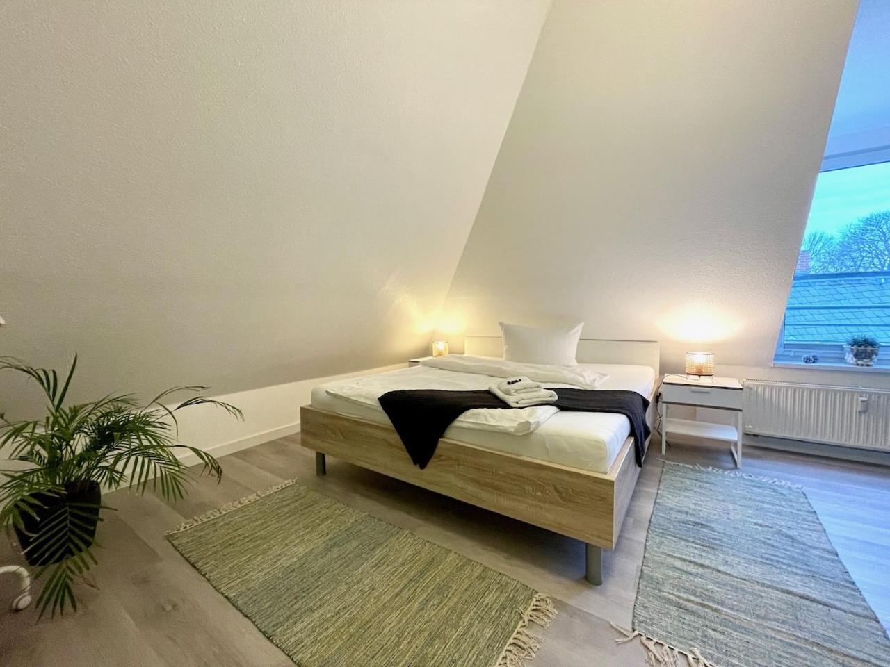 Apartment Zschachwitz - Frisch Renovierter Wohlfuehlort! *