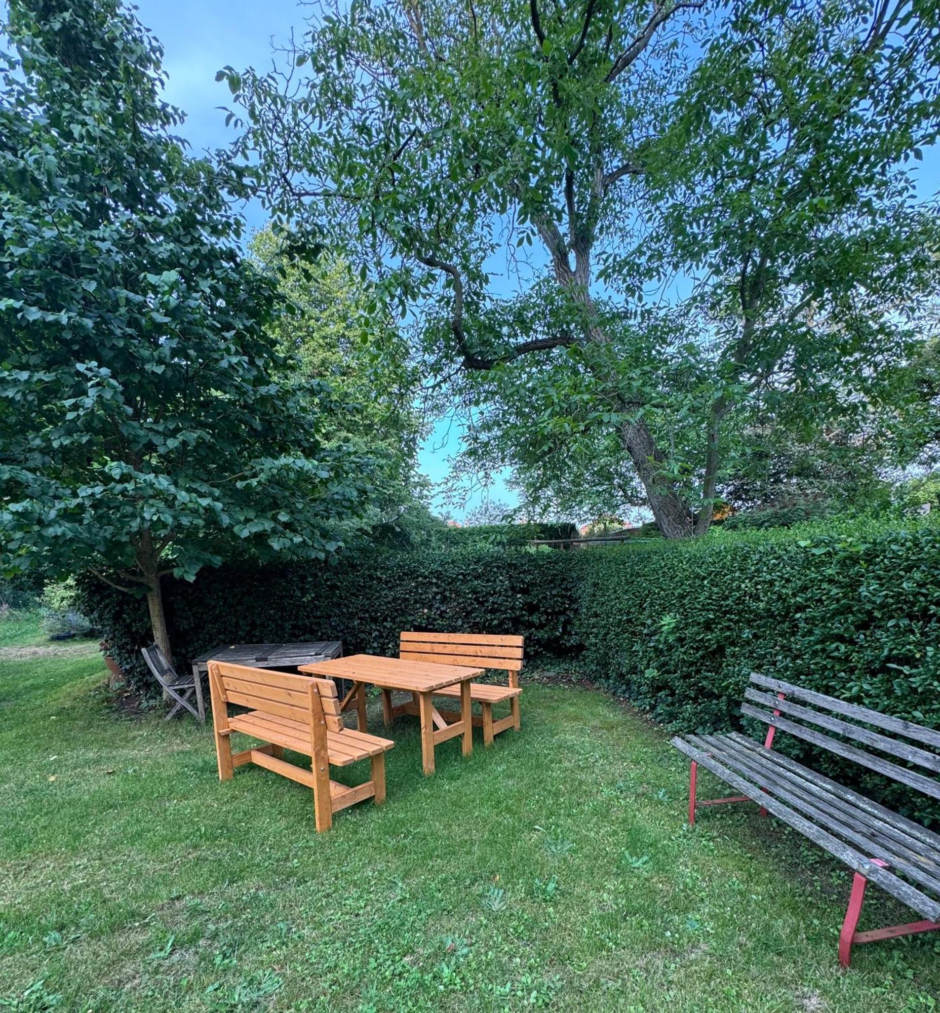 - 3 Zi - Garten *