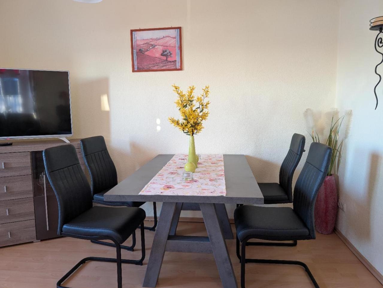 Apartment Ambiente An Der Elbe, Eg Dresden