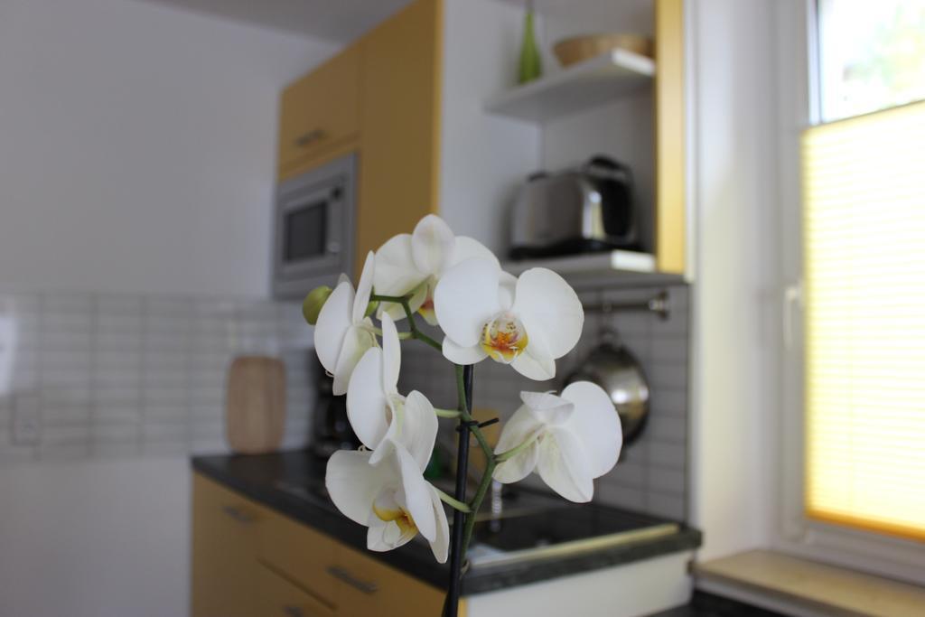 Apartment Weber