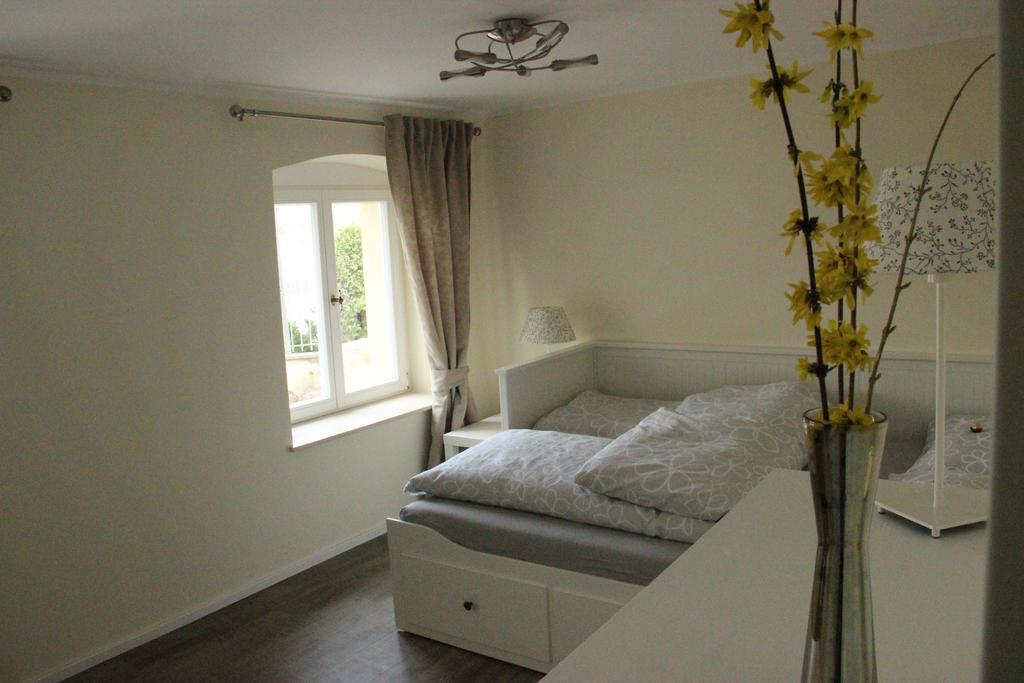 Apartment An Der Elbe Dresden
