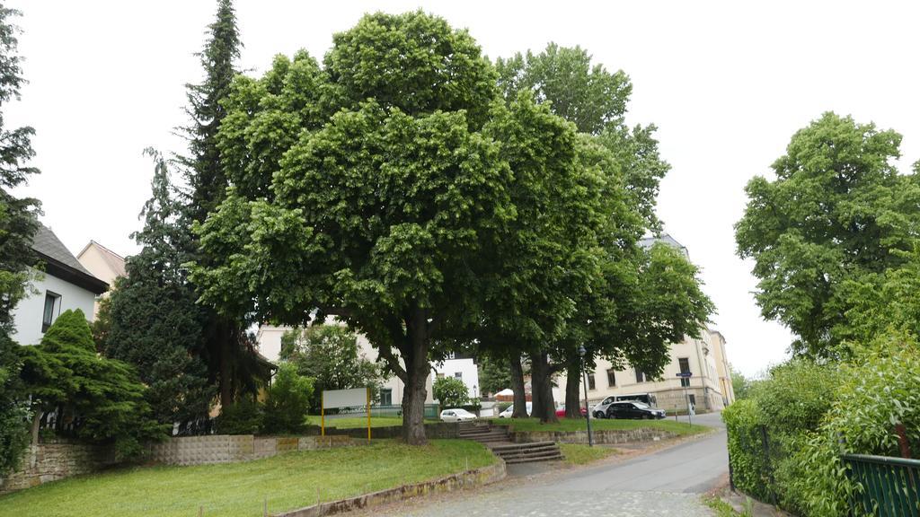 Privatunterkunft W.i.p. Welt Im Park