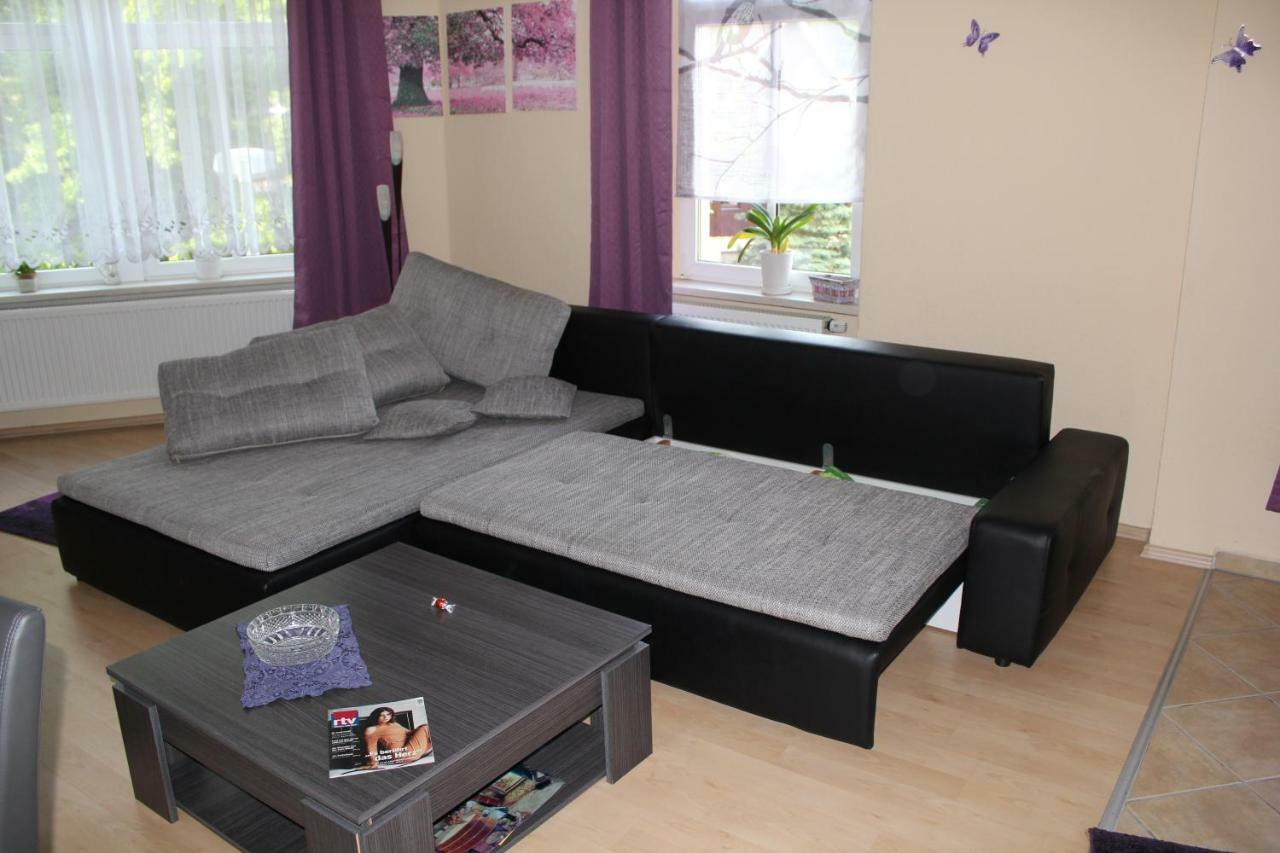 Appartement Am Schunckpark Dresden